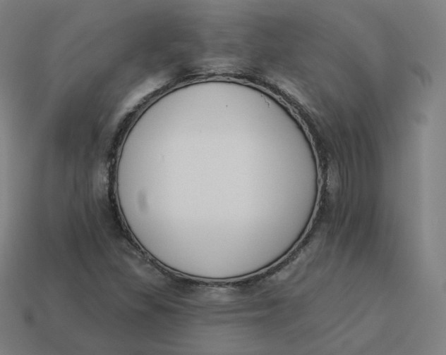 X0000113361309200910061031