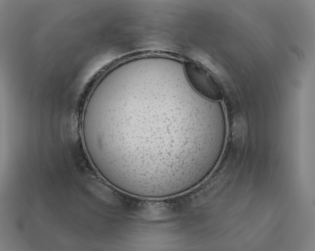 X0000113361310200910061031