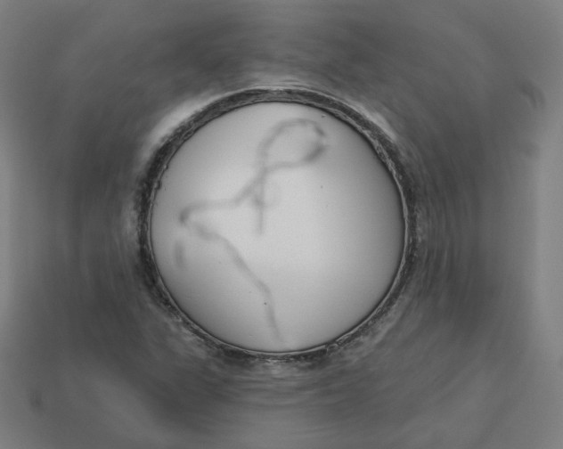 X0000113361311200910061031