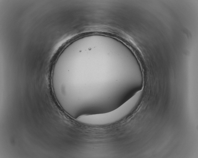 X0000113361312200910061031