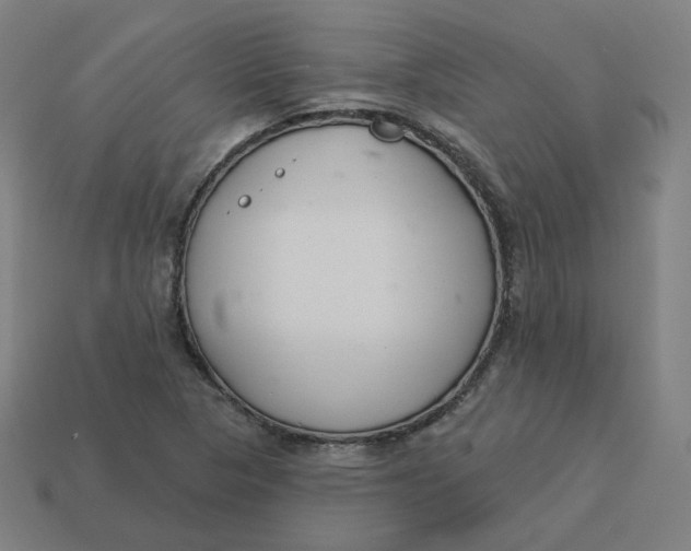 X0000113361313200910061031