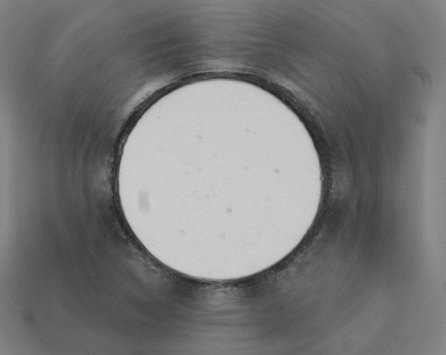 X0000113361314200910061031