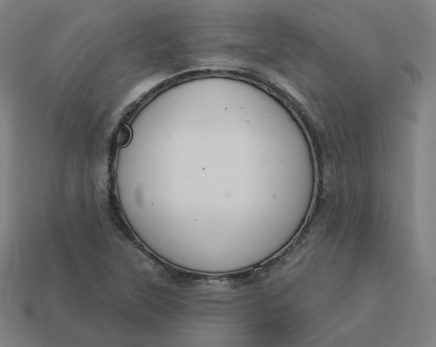 X0000113361315200910061031