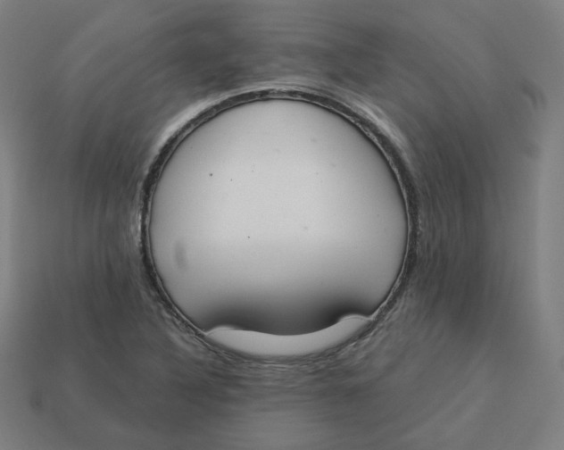 X0000113361316200910061031