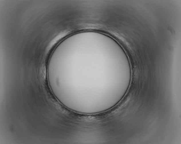 X0000113361317200910061031