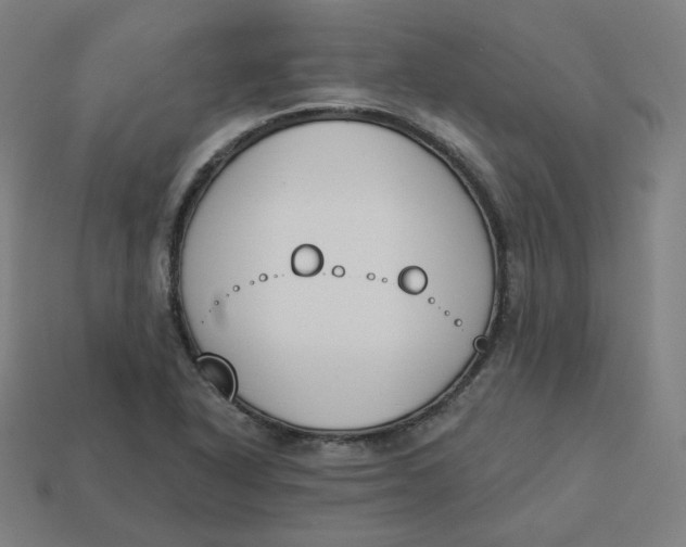 X0000113361318200910061031