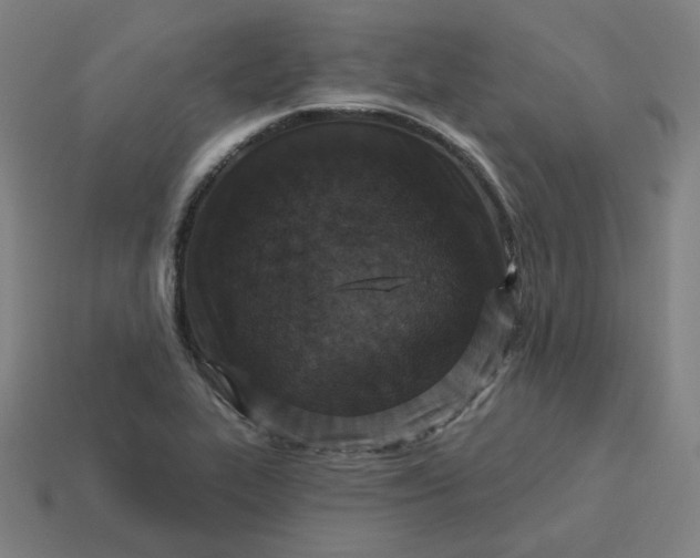 X0000113361319200910061031