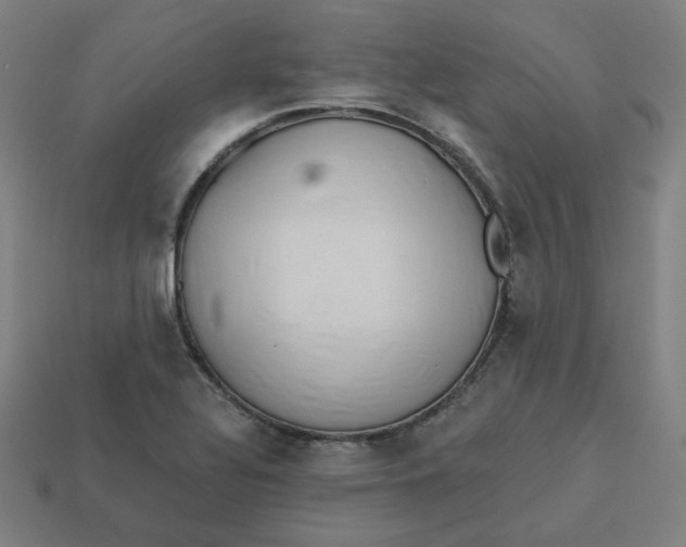 X0000113361320200910061031