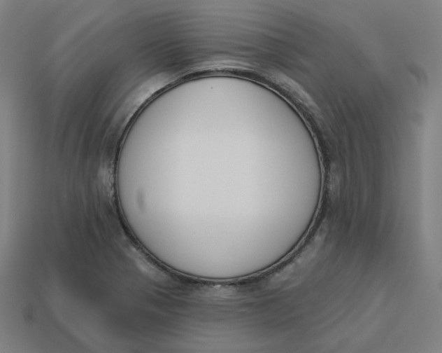 X0000113361321200910061031