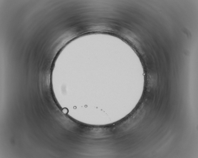 X0000113361322200910061031