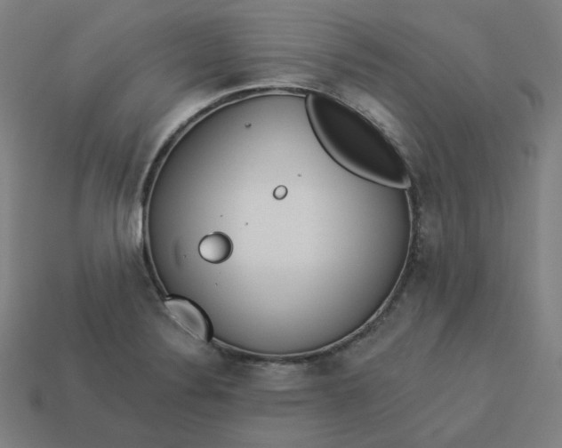 X0000113361324200910061032