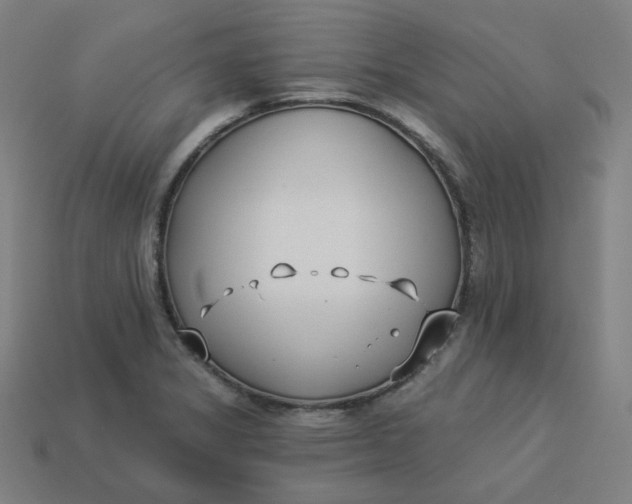 X0000113361325200910061032