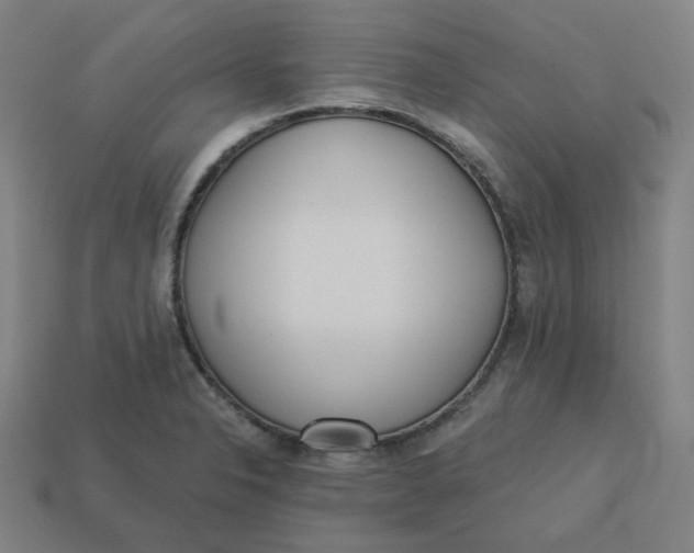 X0000113361326200910061032