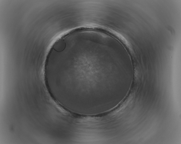 X0000113361327200910061032