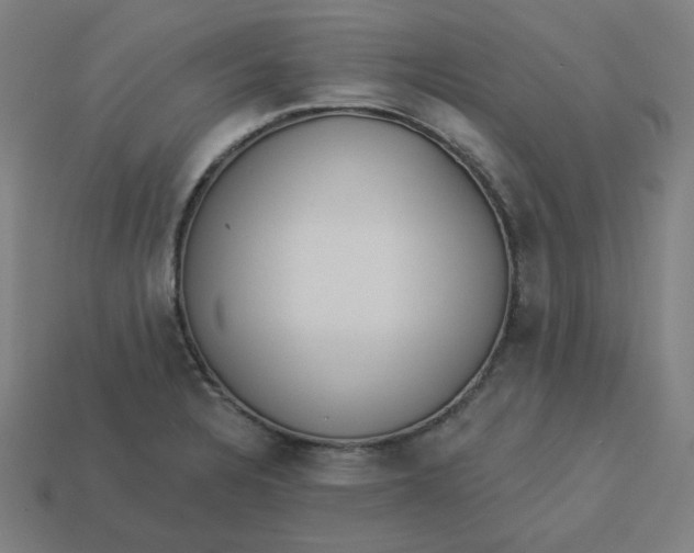 X0000113361328200910061032