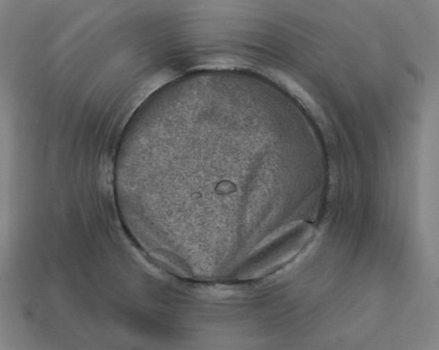 X0000113361329200910061032