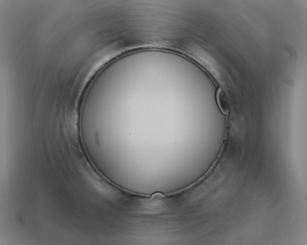 X0000113361332200910061032