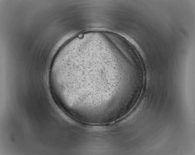 X0000113361333200910061032