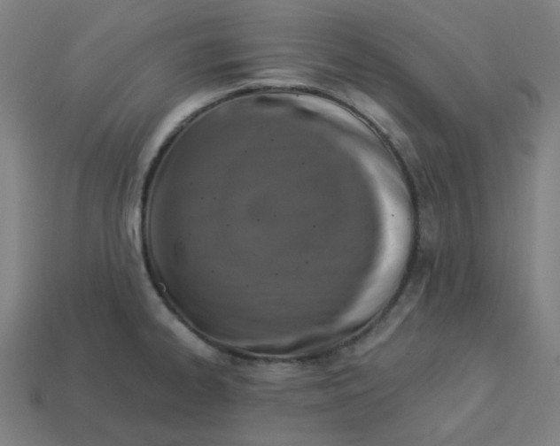 X0000113361334200910061032