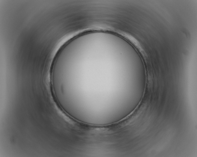 X0000113361335200910061032