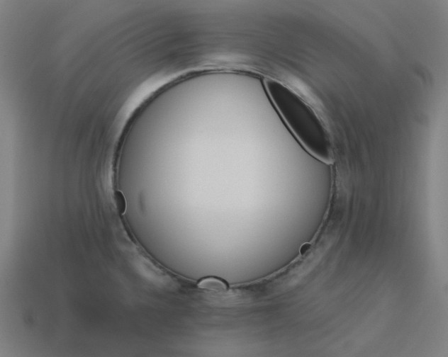 X0000113361336200910061032