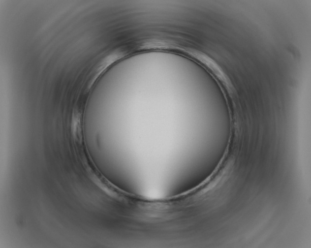 X0000113361337200910061032