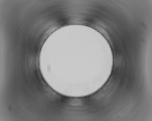 X0000113361338200910061032