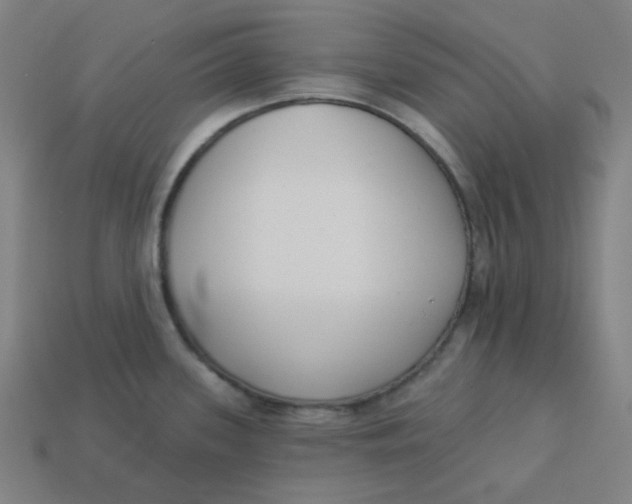 X0000113361339200910061032