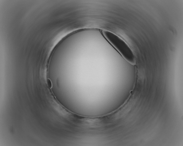 X0000113361340200910061032