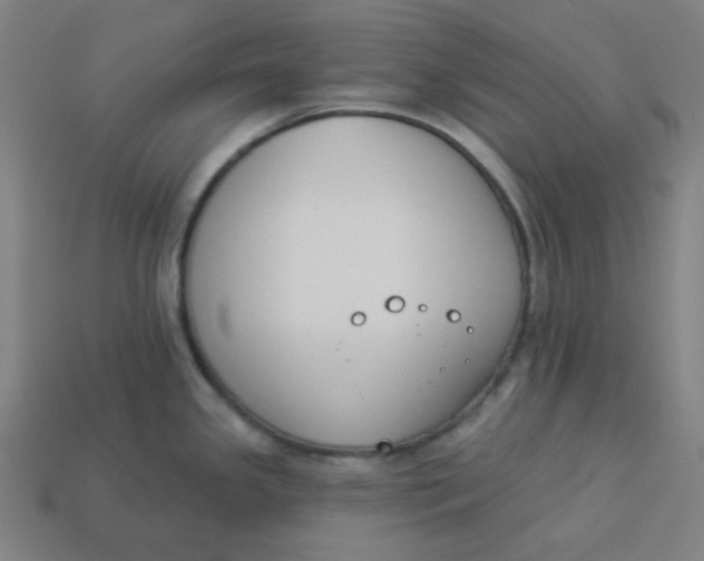 X0000113361341200910061032