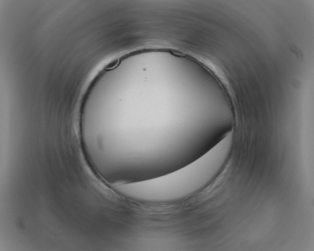 X0000113361342200910061032