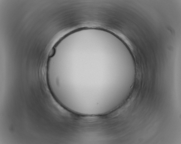 X0000113361343200910061032