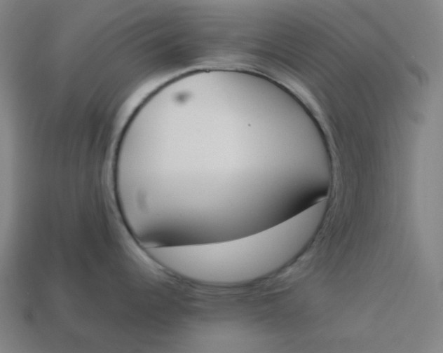 X0000113361344200910061032