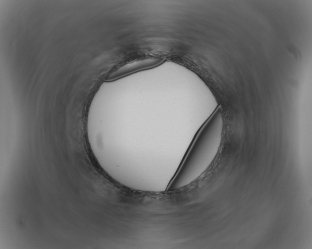 X0000113361345200910061031