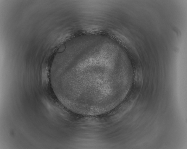 X0000113361346200910061031