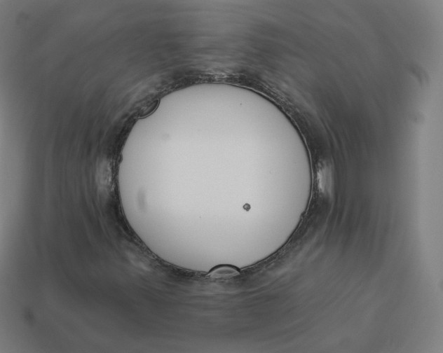 X0000113361347200910061031