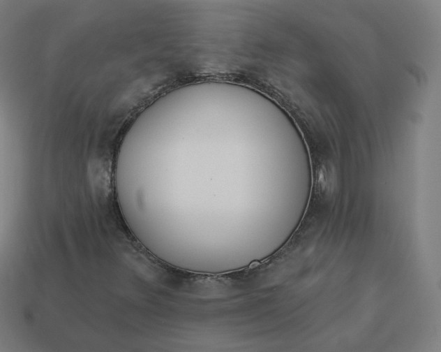 X0000113361348200910061031