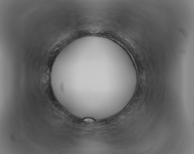 X0000113361349200910061031