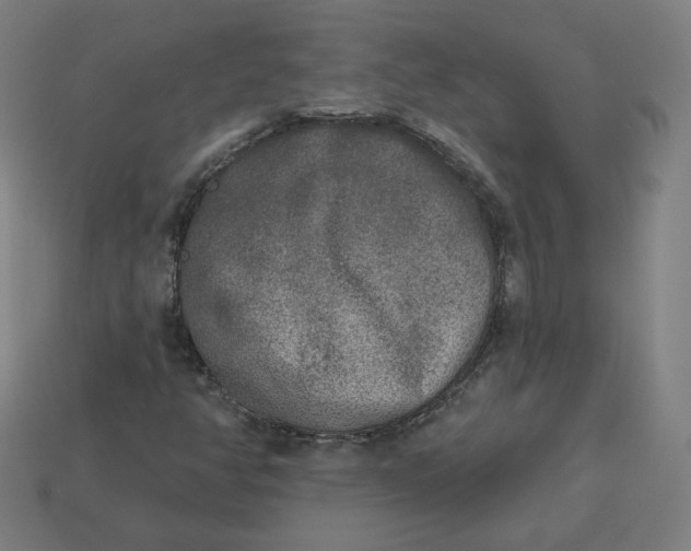 X0000113361350200910061031