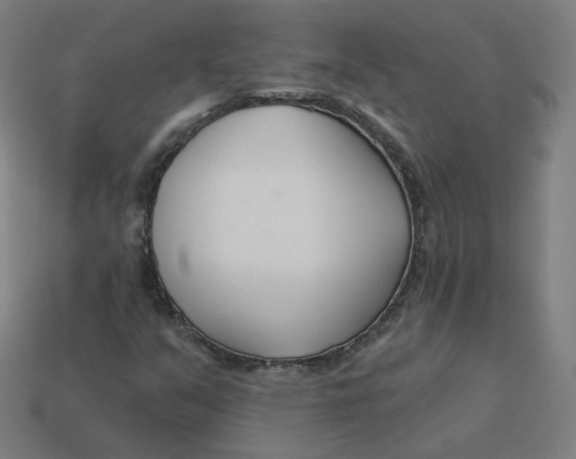 X0000113361351200910061031