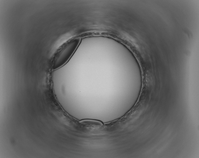 X0000113361352200910061031