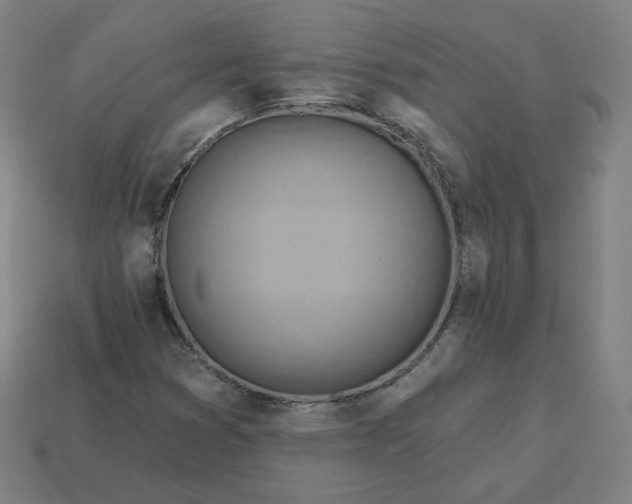 X0000113361353200910061031