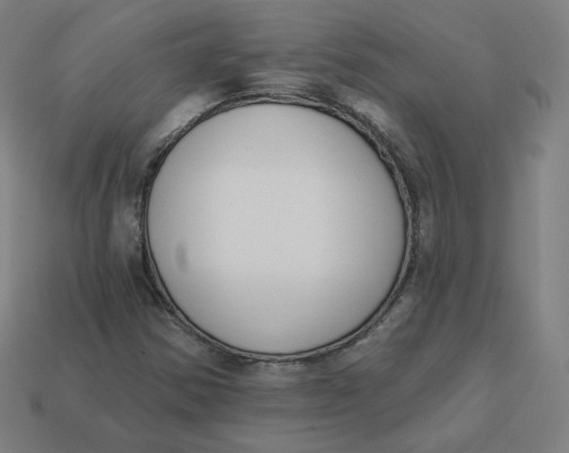 X0000113361354200910061031