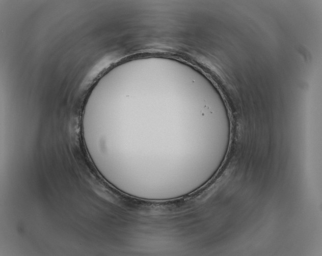 X0000113361355200910061031