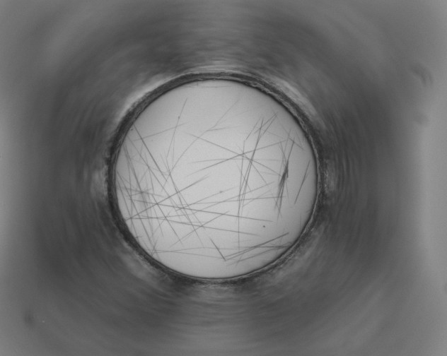 X0000113361356200910061031