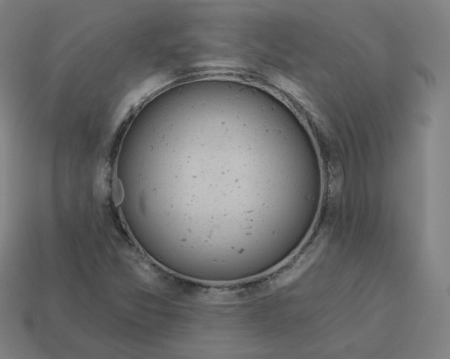 X0000113361357200910061031