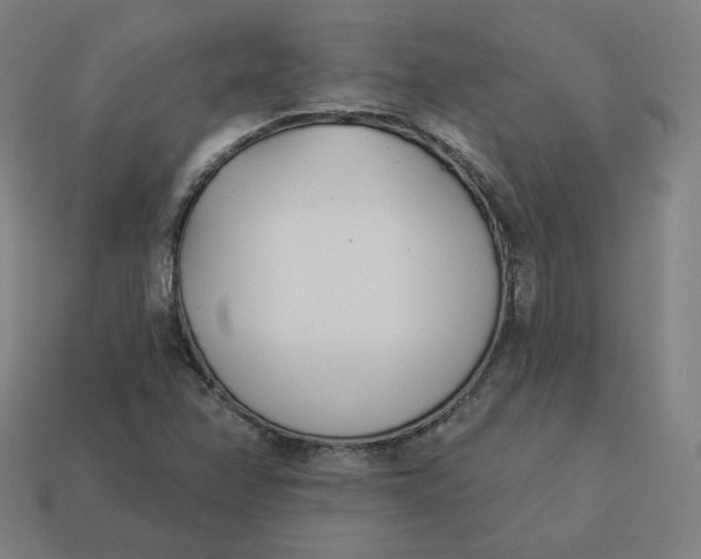 X0000113361358200910061031