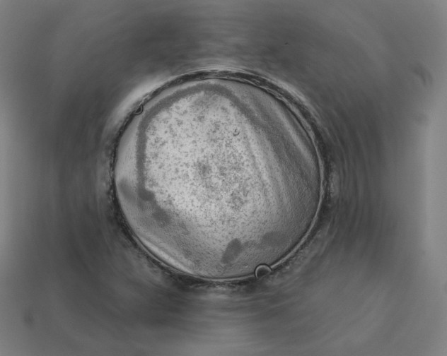 X0000113361359200910061031