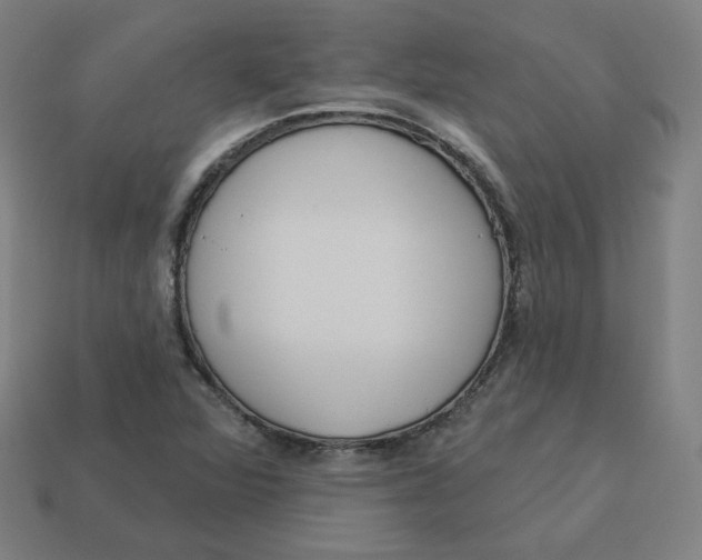 X0000113361360200910061031