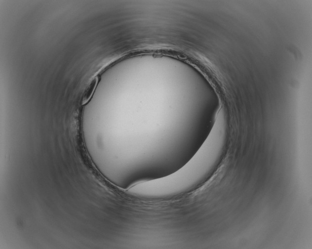 X0000113361361200910061031